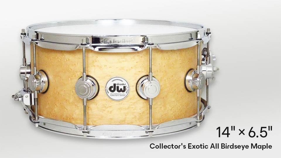 dw Collector's Exotic All Birdseye Maple MIKI GAKKI 200th
