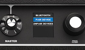 [ムスタングLTX100]