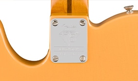 [75周年記念テレキャスター]