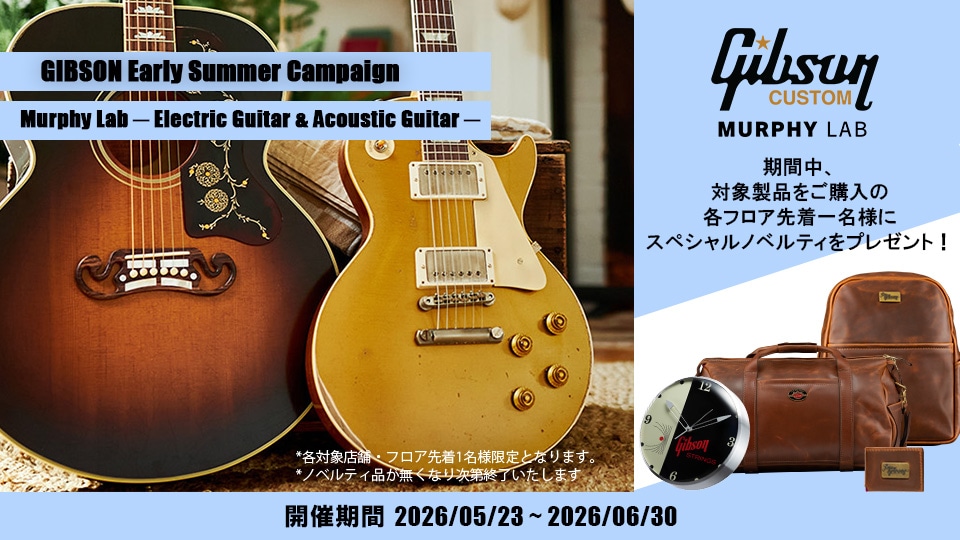 Gibson Campaign