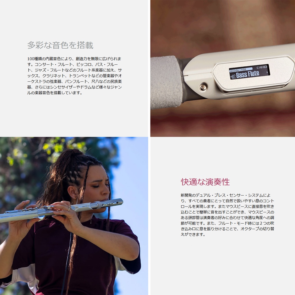 Roland エアロフォン・ブリサ Aerophone Brisa AE-BRISA