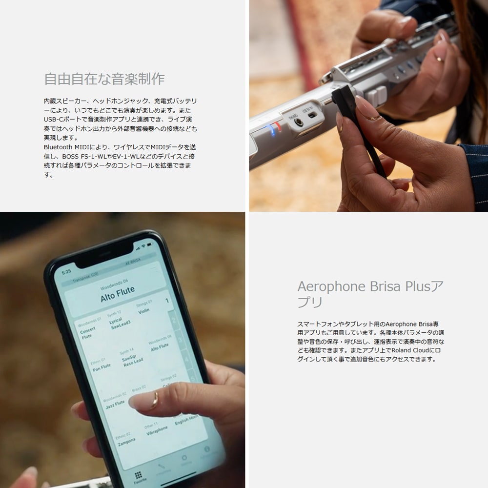 Roland エアロフォン・ブリサ Aerophone Brisa AE-BRISA