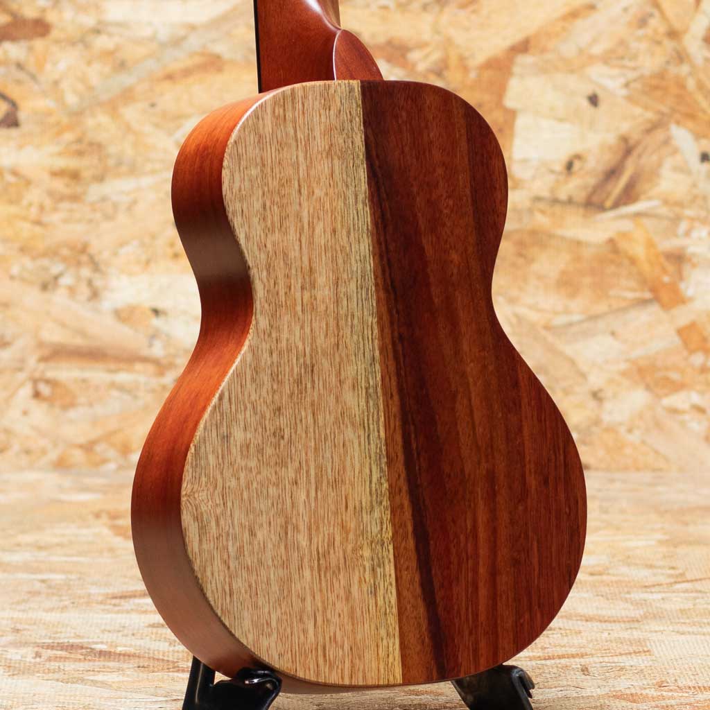 KCNP-10 Naupaka Concert