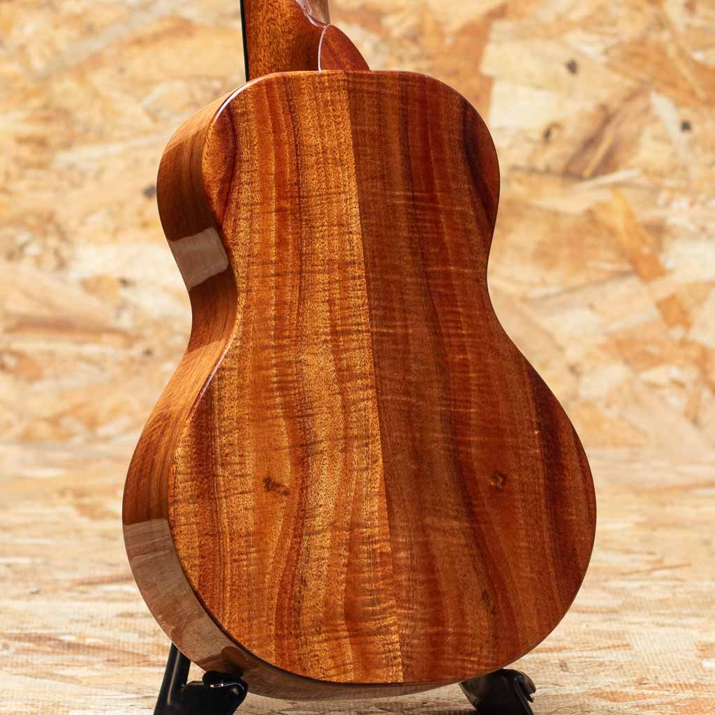KCM-00 Special Issue Concert
