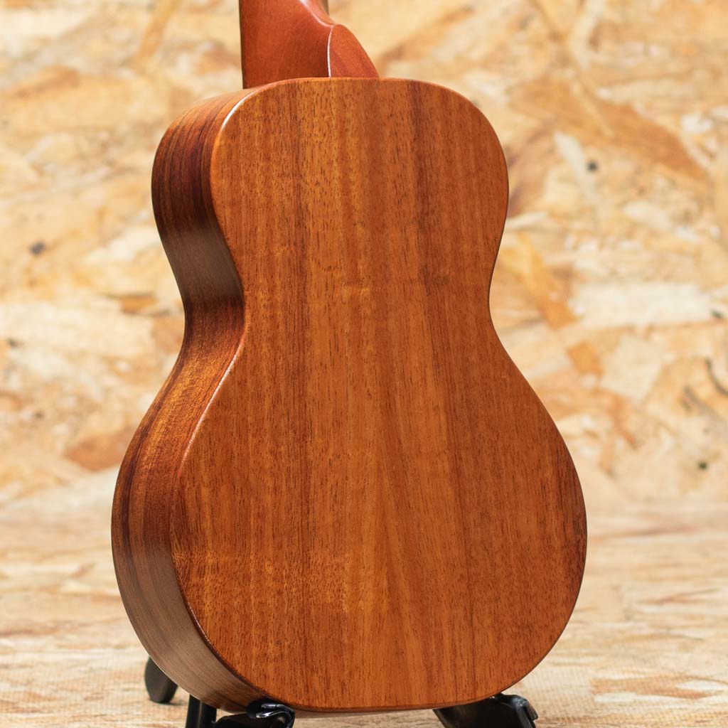 KCM-10 Pikake Concert 2014