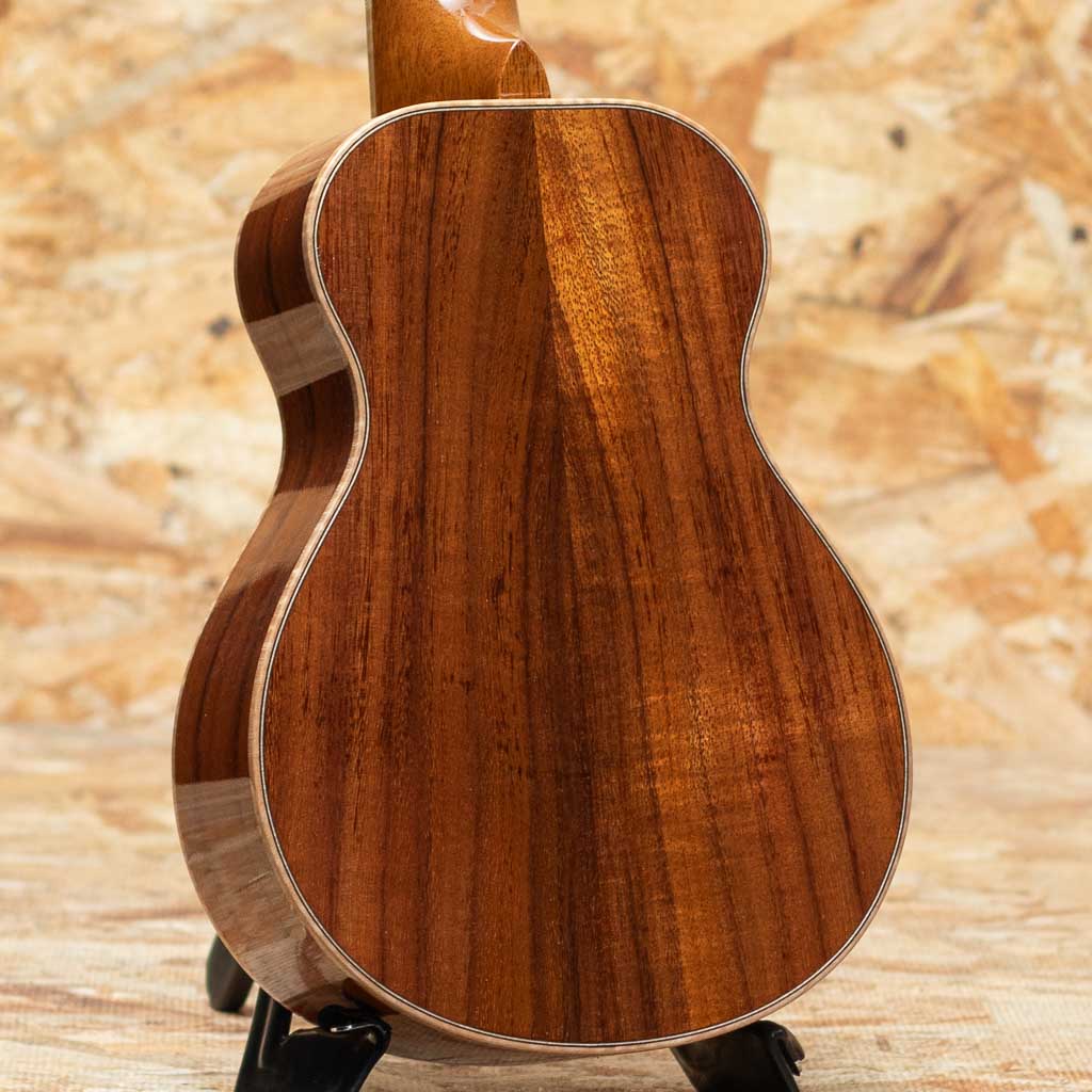 THC-2233 CST Concert