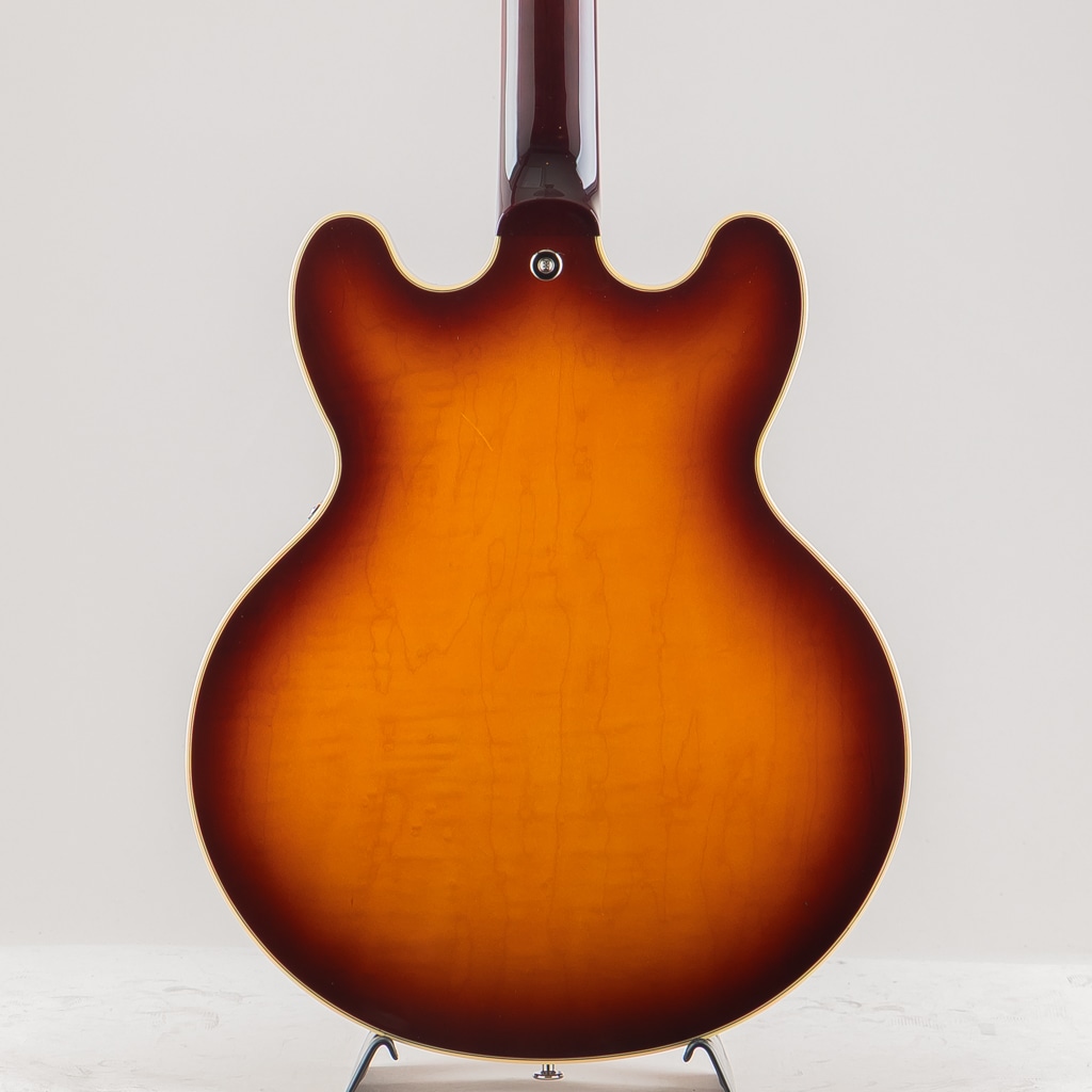 MSA-SP / Antique Sunburst