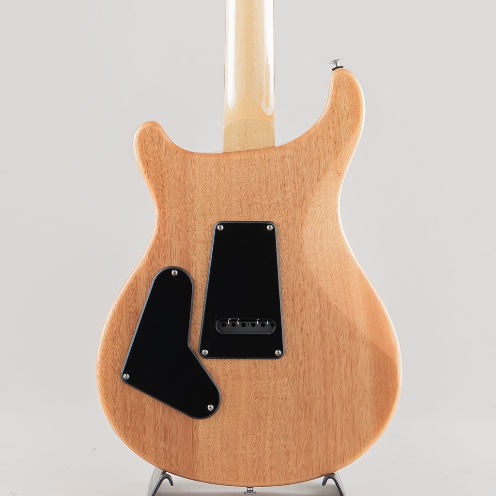 SE Custom 24-08/Turquoise【2024】