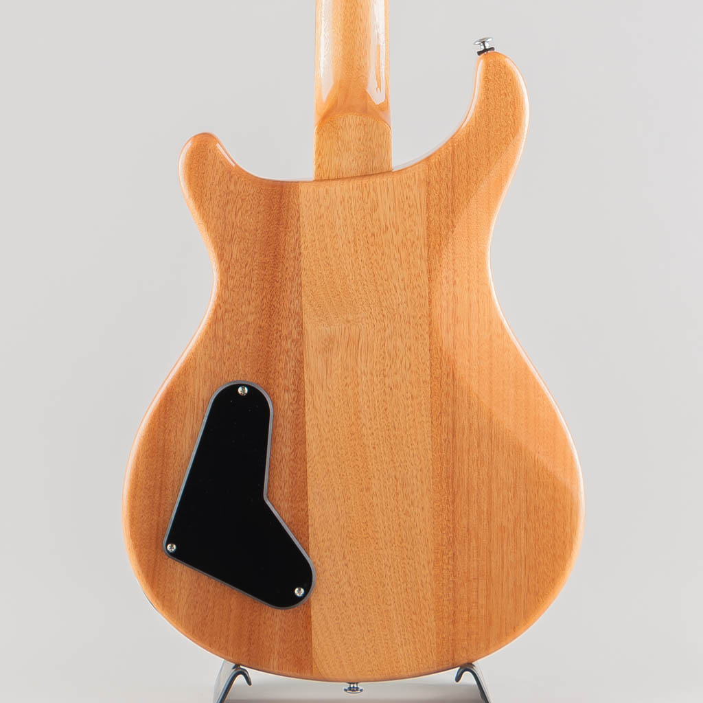 SE Paul's Guitar / Turquoise 【2023】