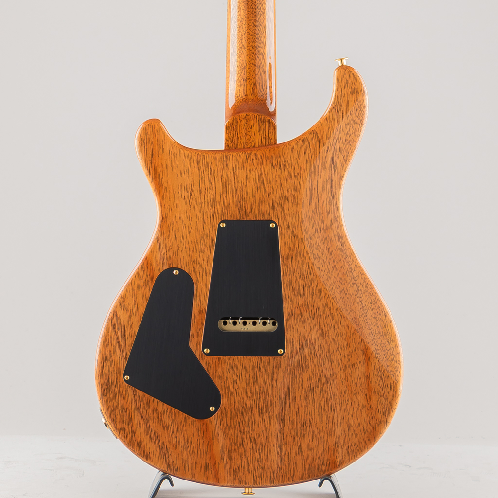 Custom24 10Top "DMO" Pickups Artic Blue 2025