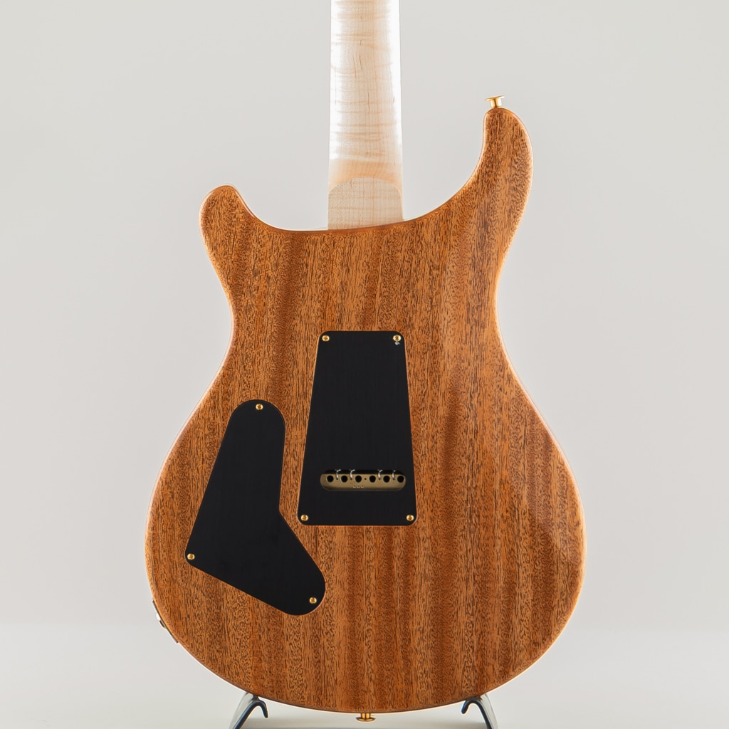 Wood Library Custom 24 10Top Natural Japan Exclusive 2026: エレキ