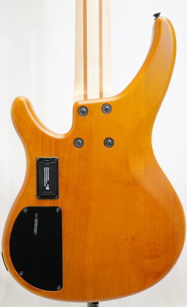 TRBX605FM (MAM) MAM BASS SIDE