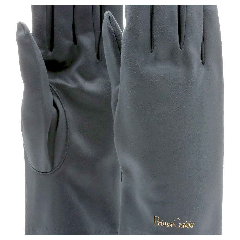 プリマ ミクロディアFSY グローブ型クリーナークロス Lサイズ ブラック 【ゆうパケット】※日時指定非対応・郵便受けにお届け致します