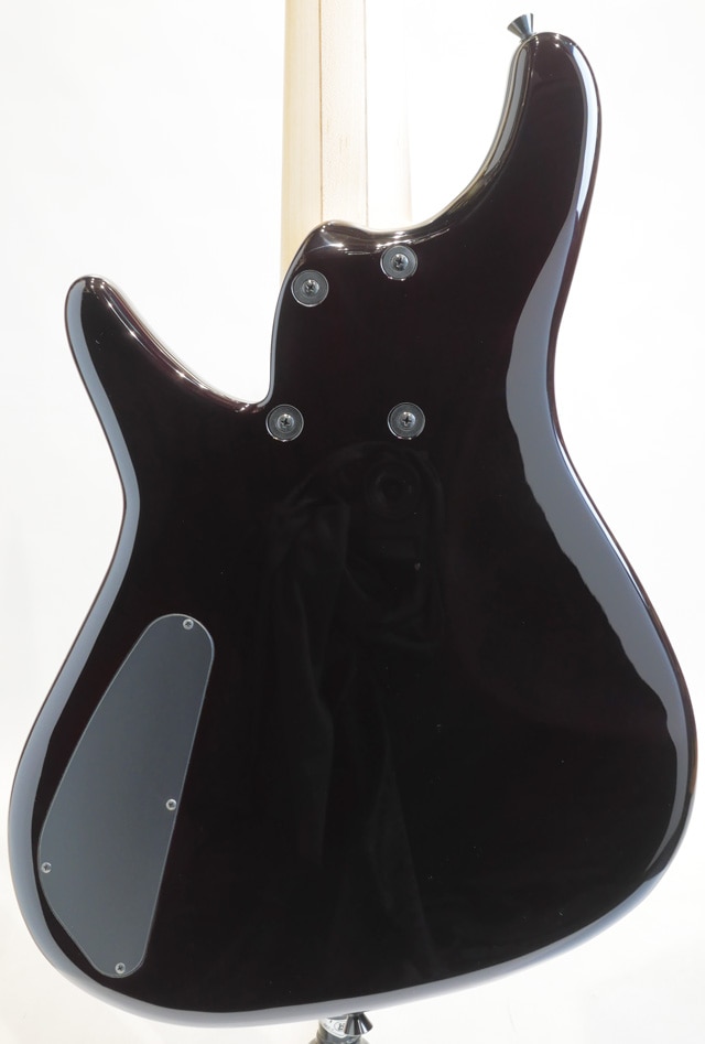 Sugi NB5C FM/ASH 8/1迄値引き Sugi NB5C FM/ASH 8/1迄値引き Sugi NB5C FM/ASH 8/1迄値引き