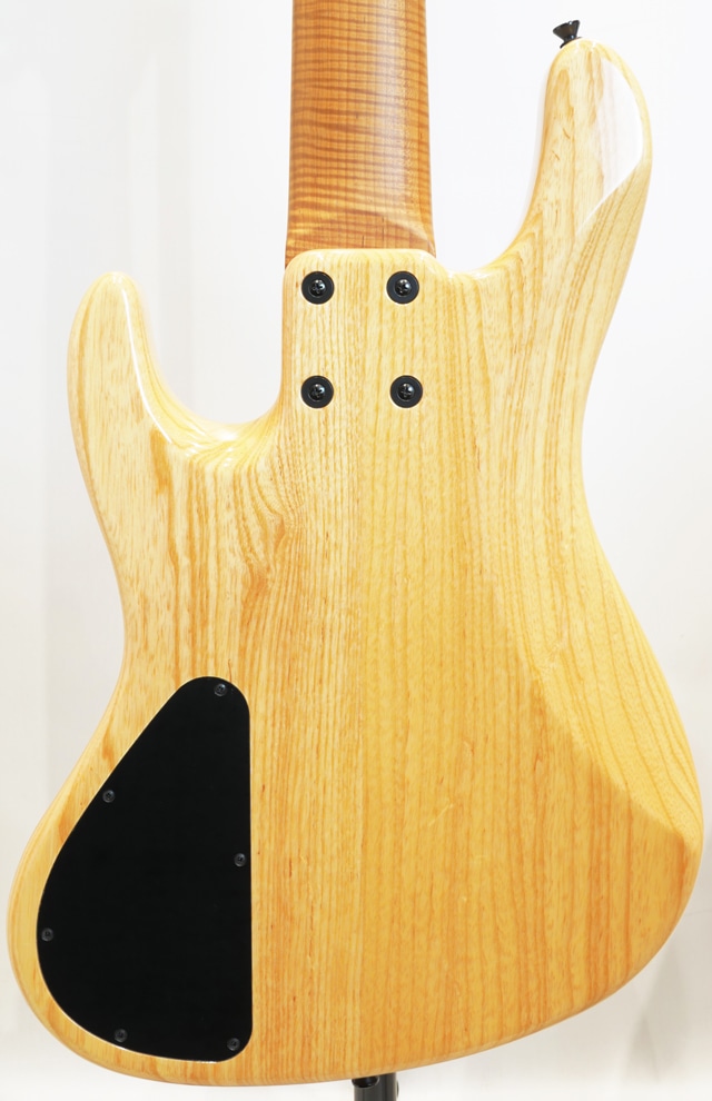 Custom Bass 5strings Spalted Flame Maple: ベース｜三木楽器
