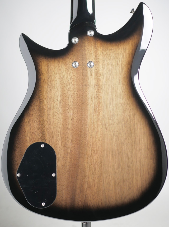 Electromatic CVT Bass Double-Cut(Bristol Fog) Bristol Fog BASS SIDE