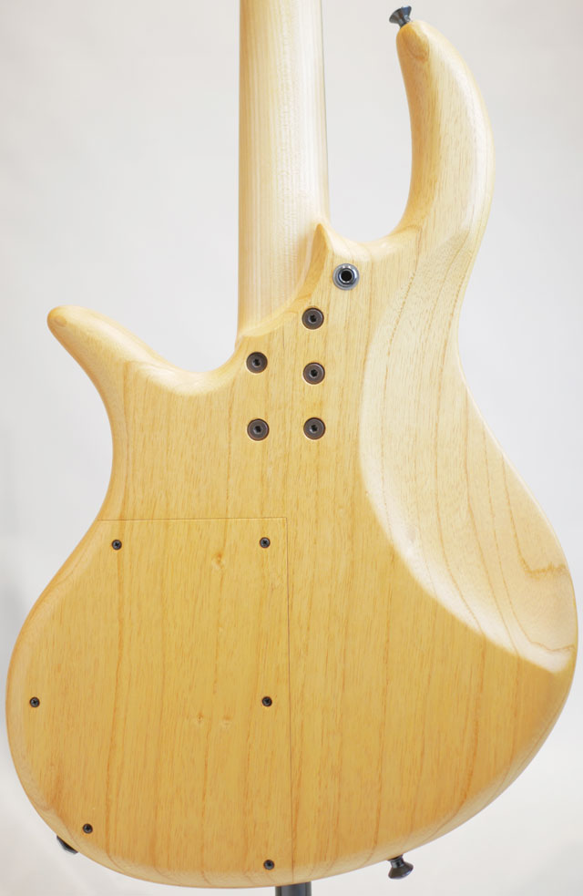 Gold Series e-volution4 Spalted Maple -Fretless-
