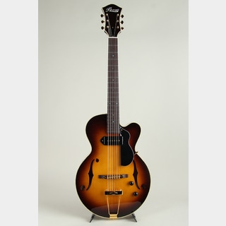 Ladybug SM-TBC Vintage Sunburst【S/N:RZO940】