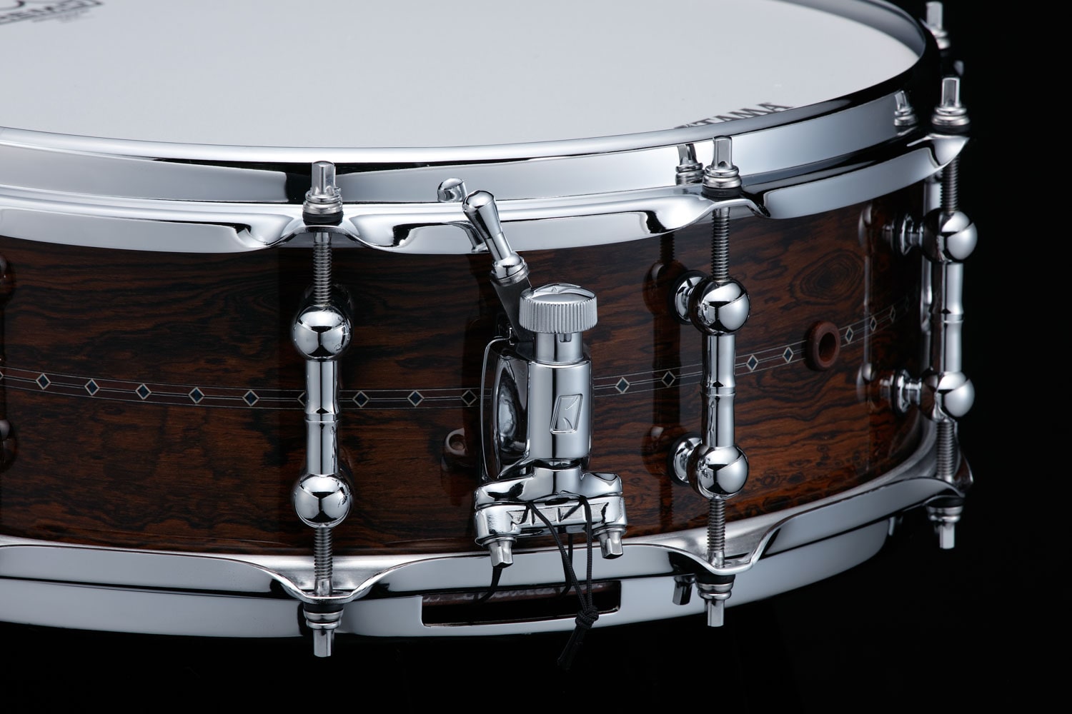 TBWS145S-GCD / STAR Reserve Snare Drum Bubinga / Walnut