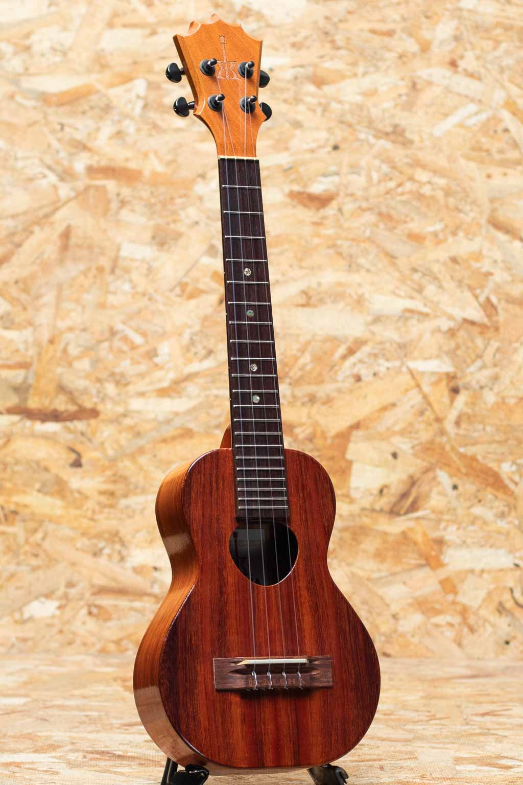 KCM-02 Concert Longneck 2012
