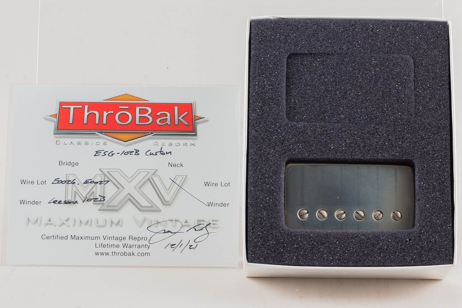 ESG-102B MXV "Bridge" ~Aged Nickel 7.4k Short A5~