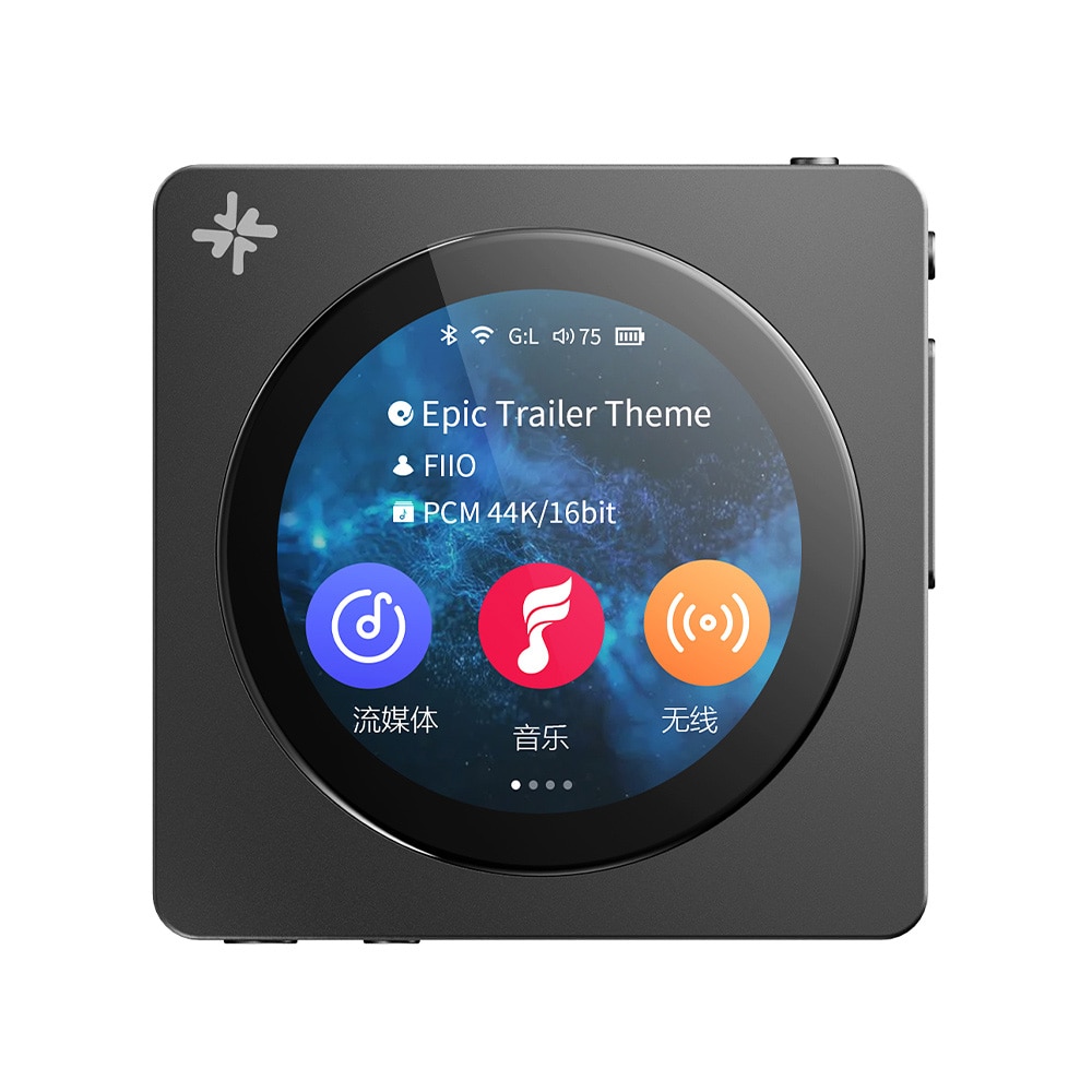 FIIO デジタルオーディオプレーヤー Snowsky DISC ブラック (FIO-SSDISC-B) 《ロゴ入りクロスプレゼント》 ブラック DZONE