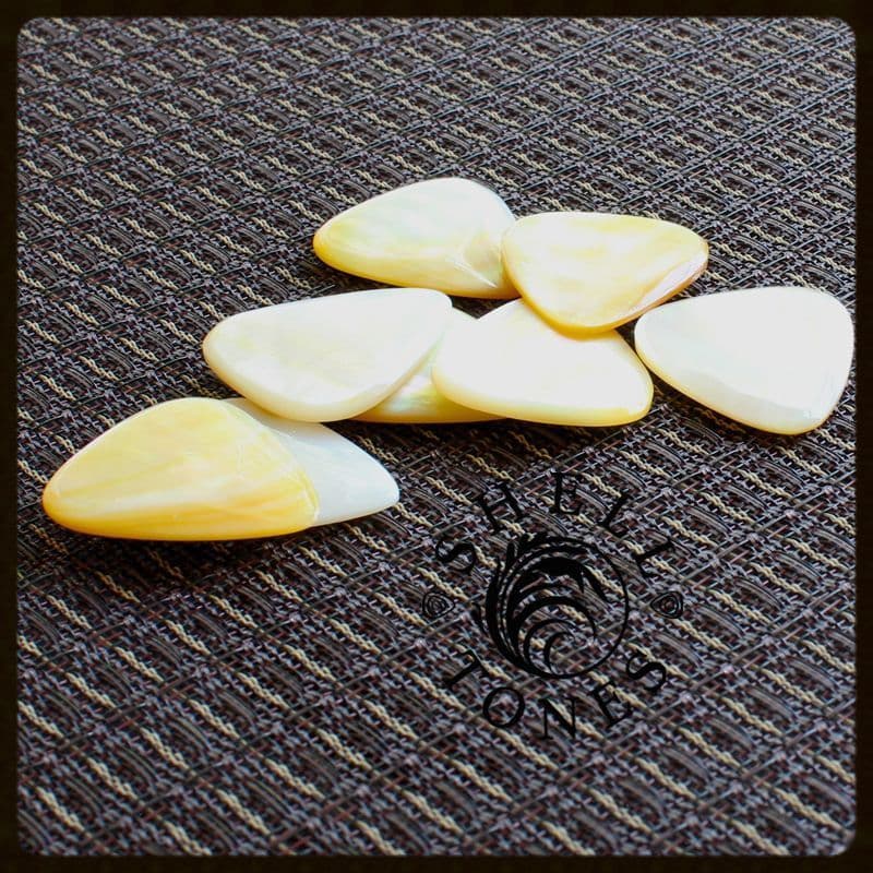 SHELL TONES Mixed Tin of 4 / Gift Box入り4種×1枚パック Gift Box入り4種 梅田店