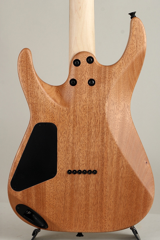 Pro-Mod DK24 HH HT E Mahogany with Poplar Burl, Ebony Desert Sand【S/N MC25003461】