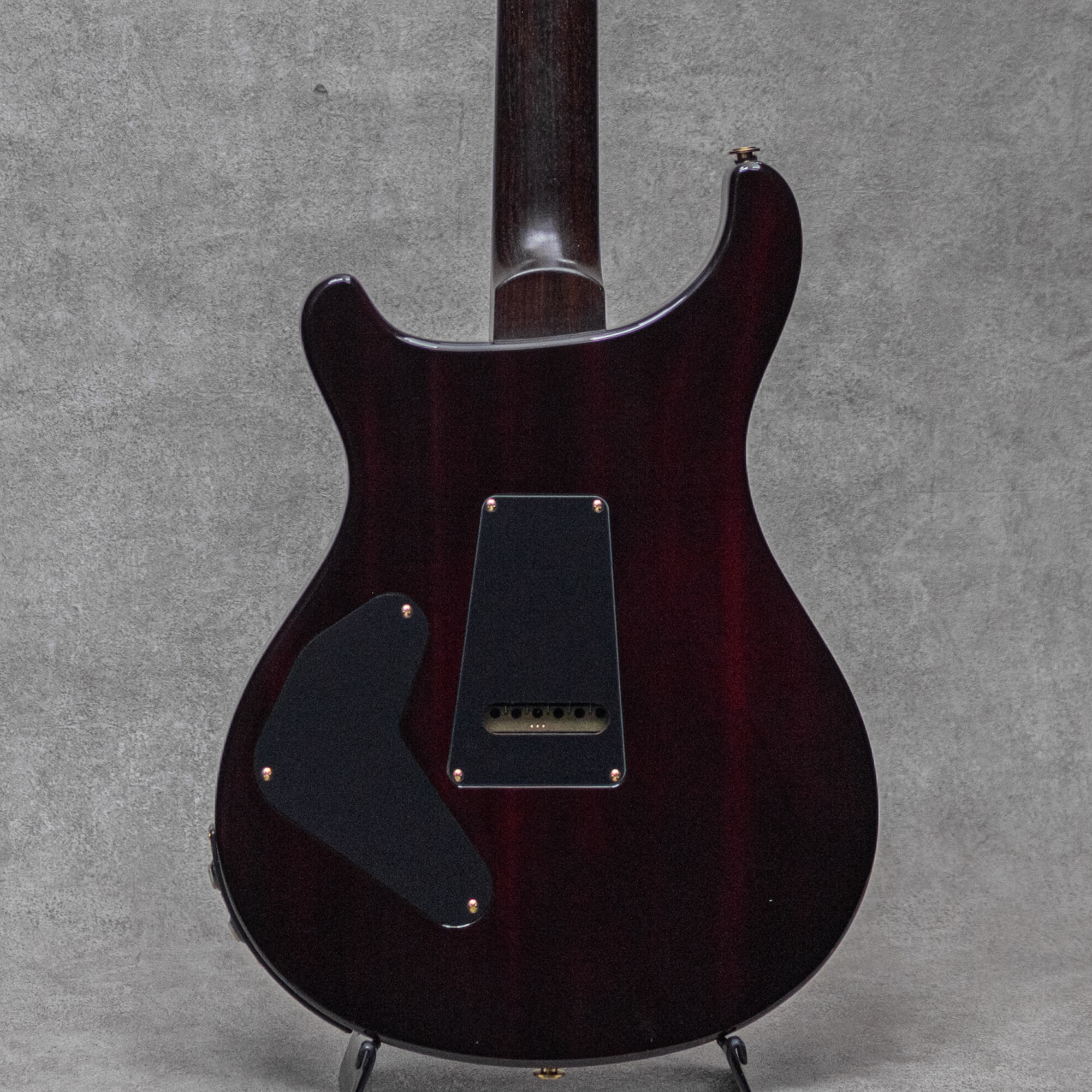 Wood Library P24 Trem Limited Rosewood Neck&FB Angry Larry / 2015