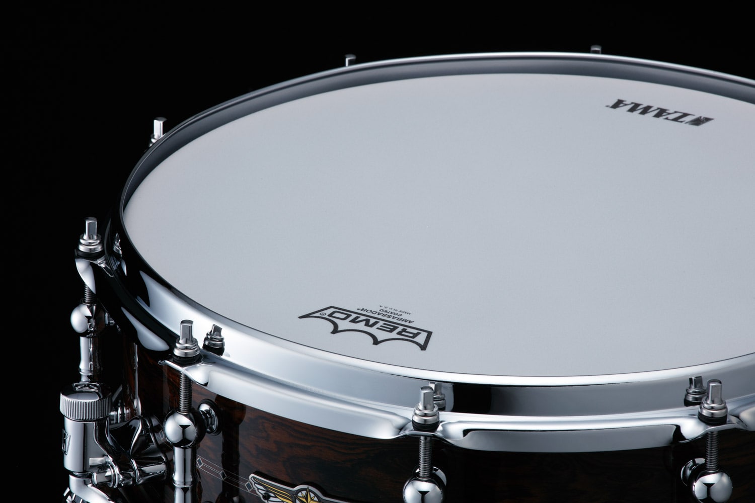 TBWS145S-GCD / STAR Reserve Snare Drum Bubinga / Walnut