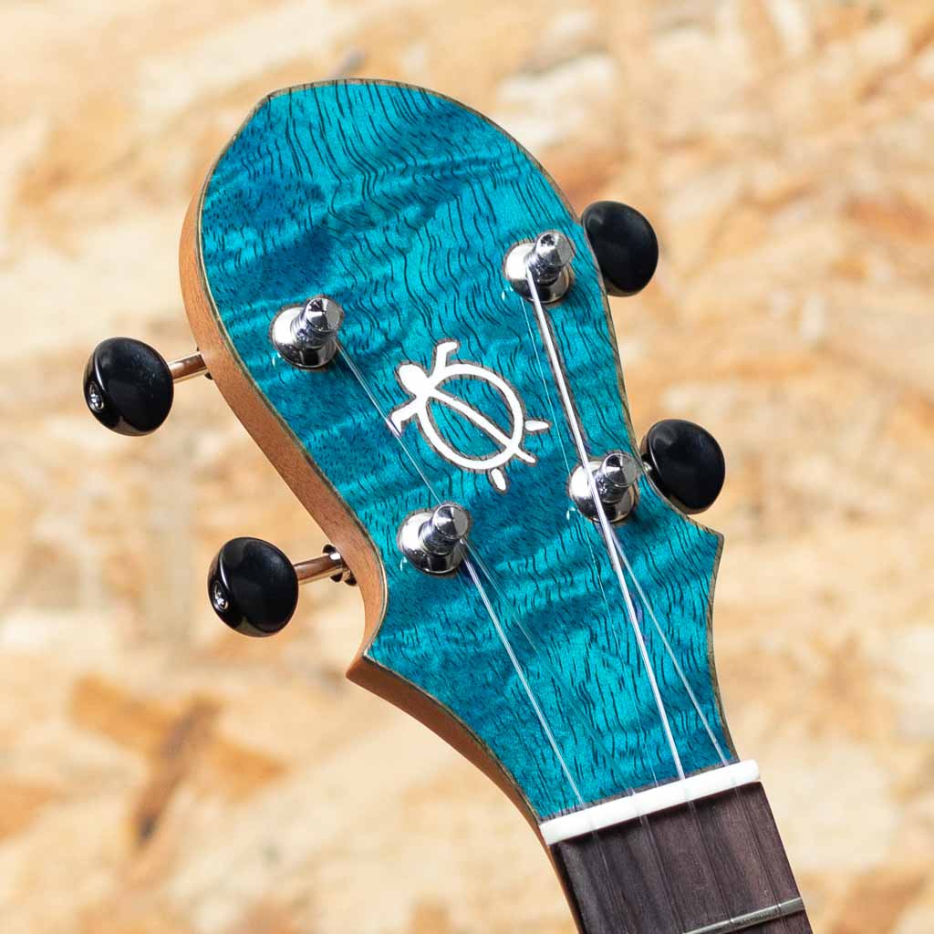 KR-MO-CTS BL Concert