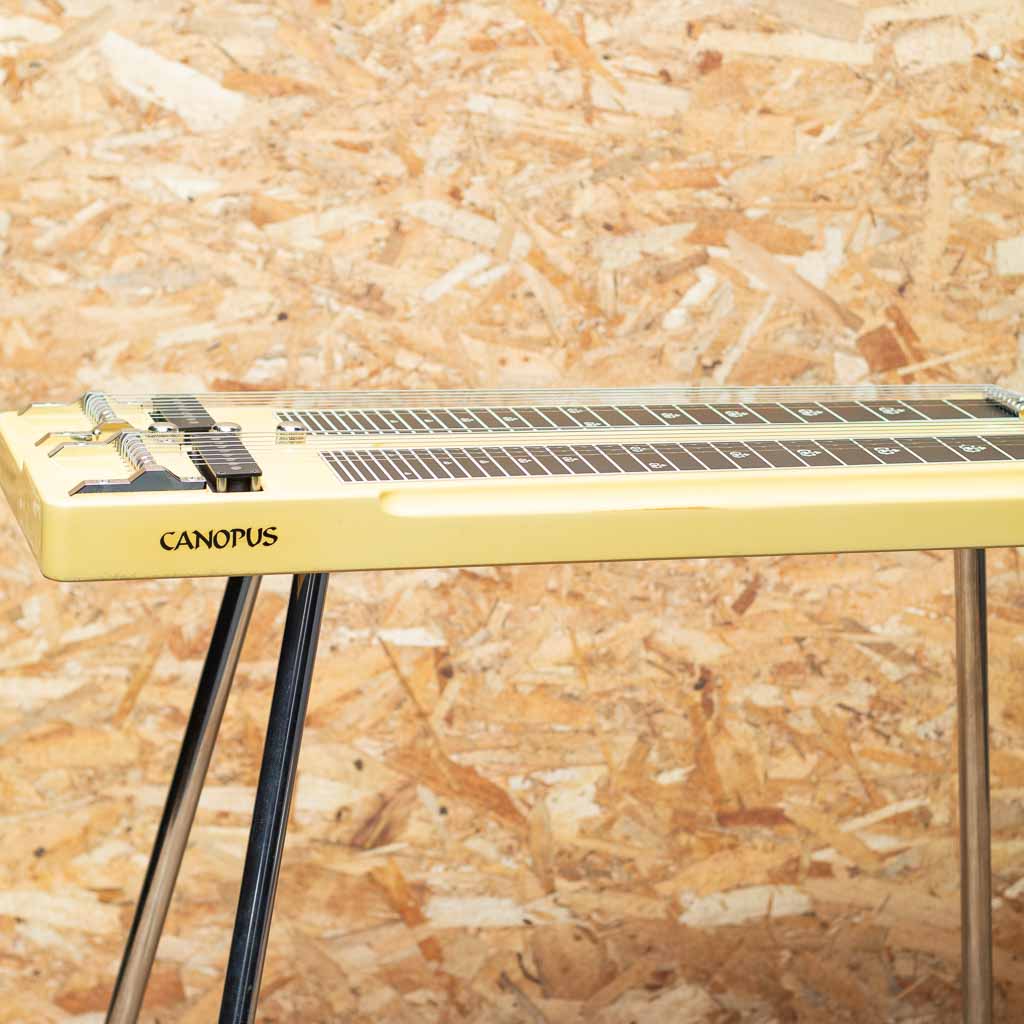 8弦 Double Neck Steel Guitar