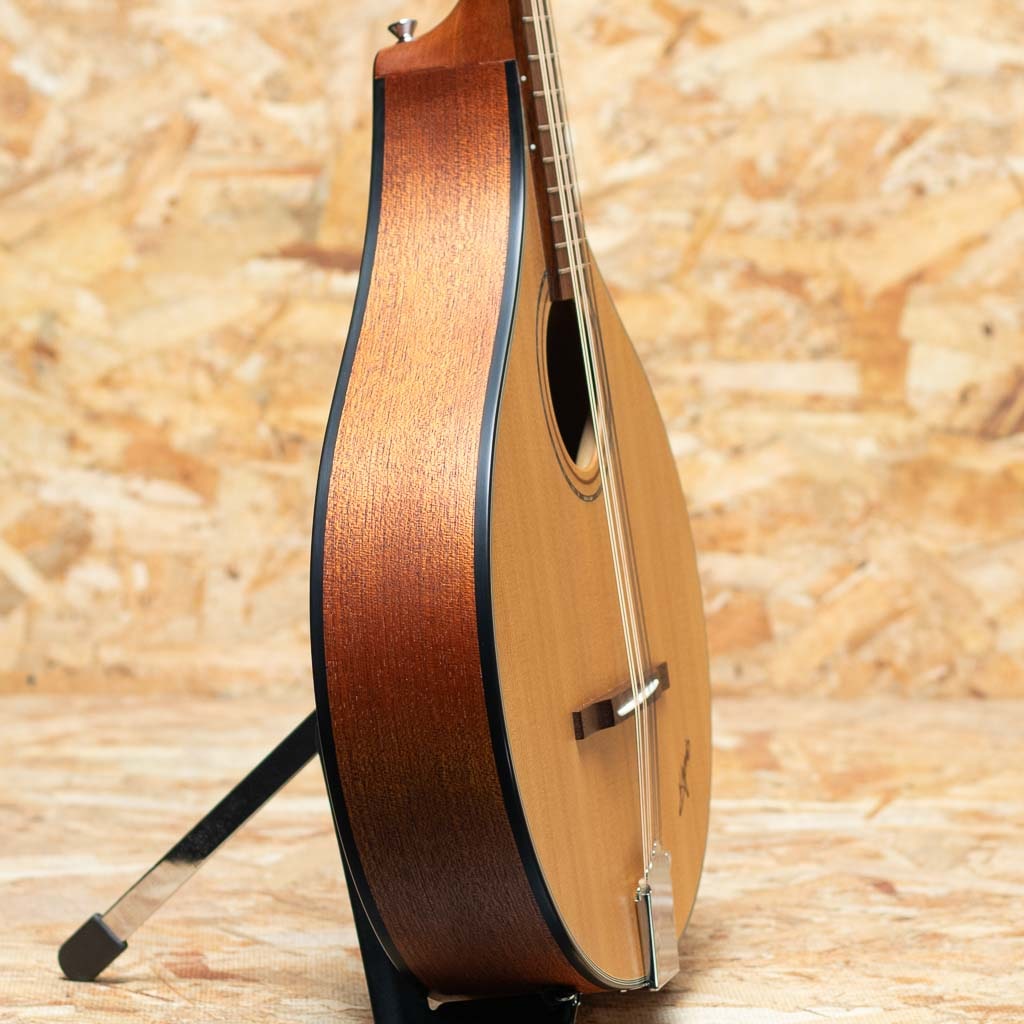 弦楽器 bge Schecter Guitar Research FreeZesicle-5 5-String Electric Bass