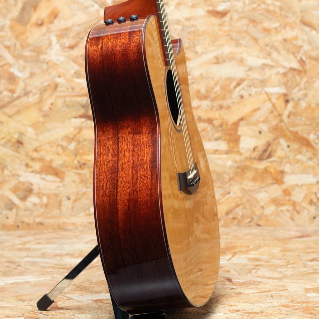 Custom GO-Ce 2013