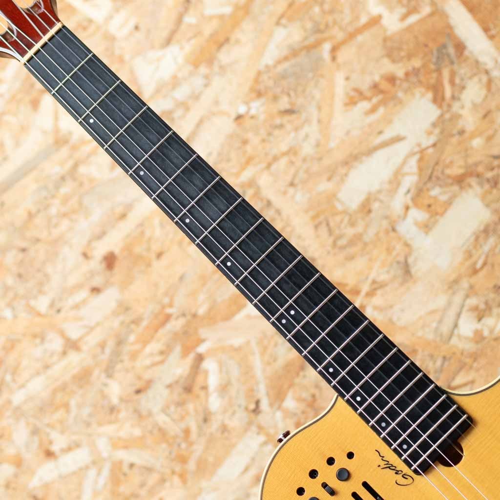 Multiac Nylon SA NAT w/Roland GR-55