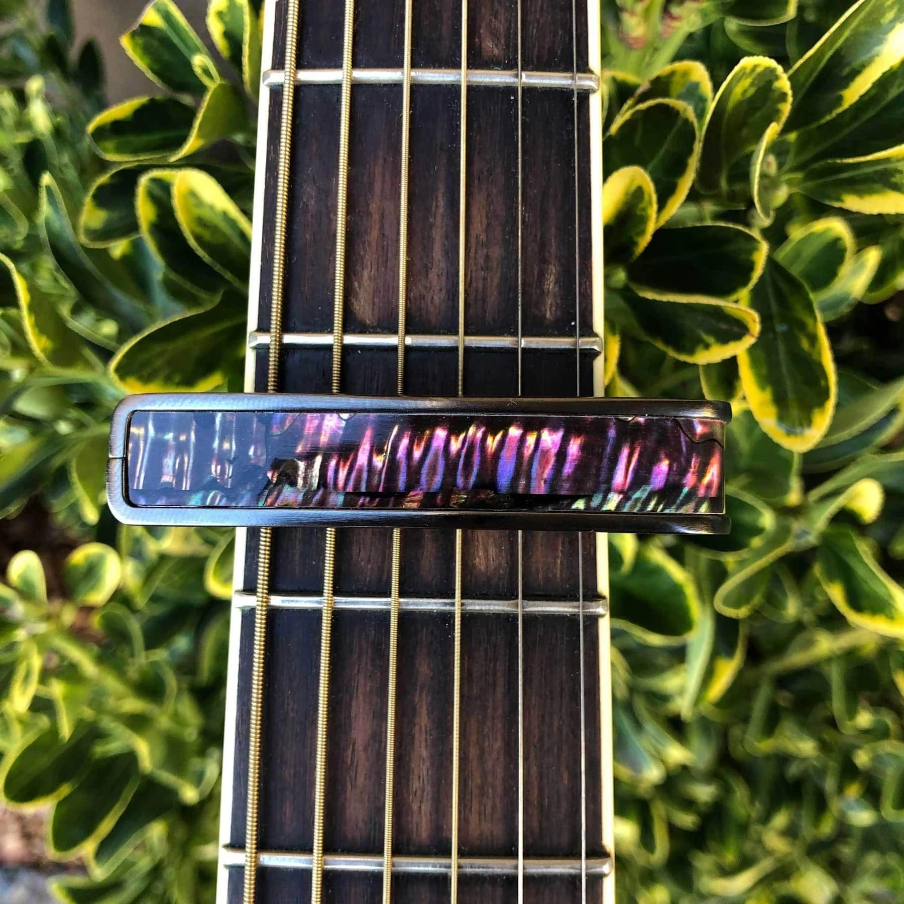 タリア カポ Thalia Capos Exotic Shell Series Aurora Abalone / Black Chrome / ギター 12インチフレットパッド付属