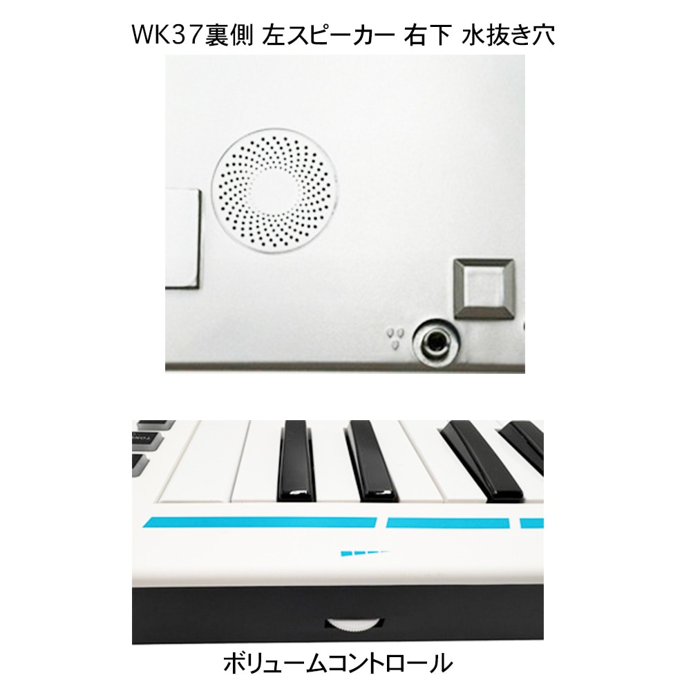 TAHORNG WINDKEY ウィンキー WK37 電子鍵盤ハーモニカ (音色10種) スピーカー内蔵 ヘッドホン/ライン出力搭載