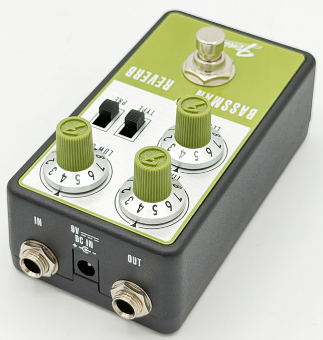 BASSMAN REVERB