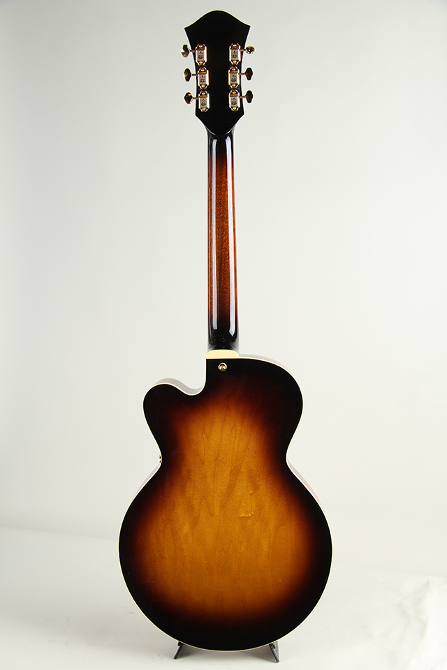 Ladybug SM-C Vintage Sunburst【S/N:RZO902】