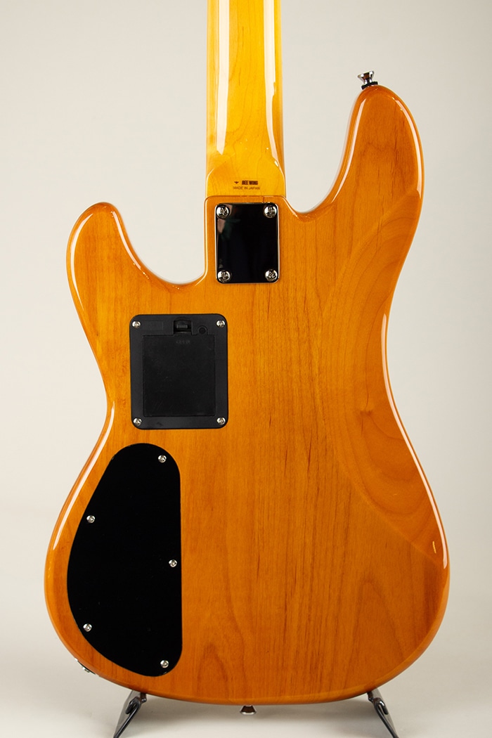 Standard 5-Strings / ALDER / Vintage Natural