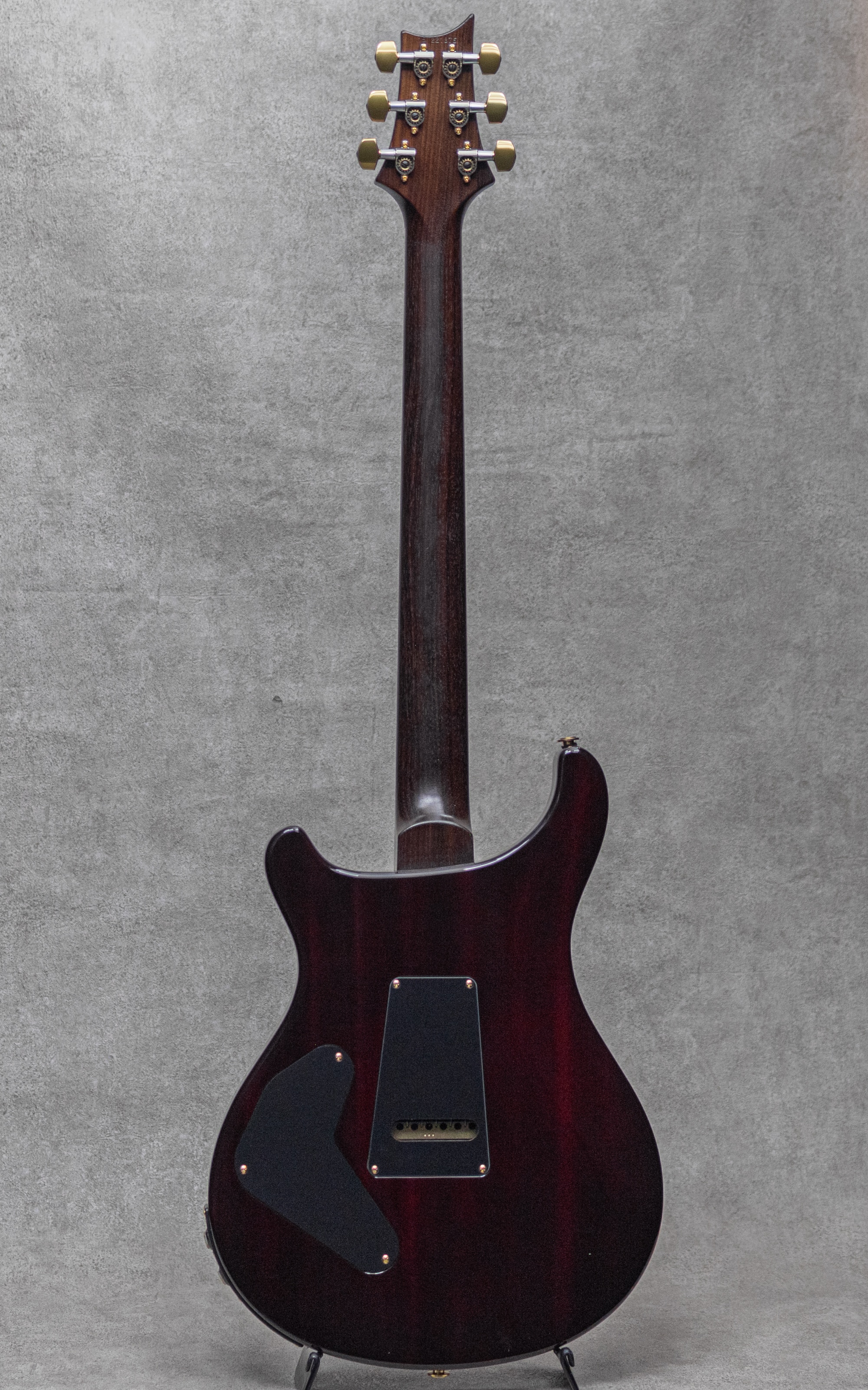 Wood Library P24 Trem Limited Rosewood Neck&FB Angry Larry / 2015