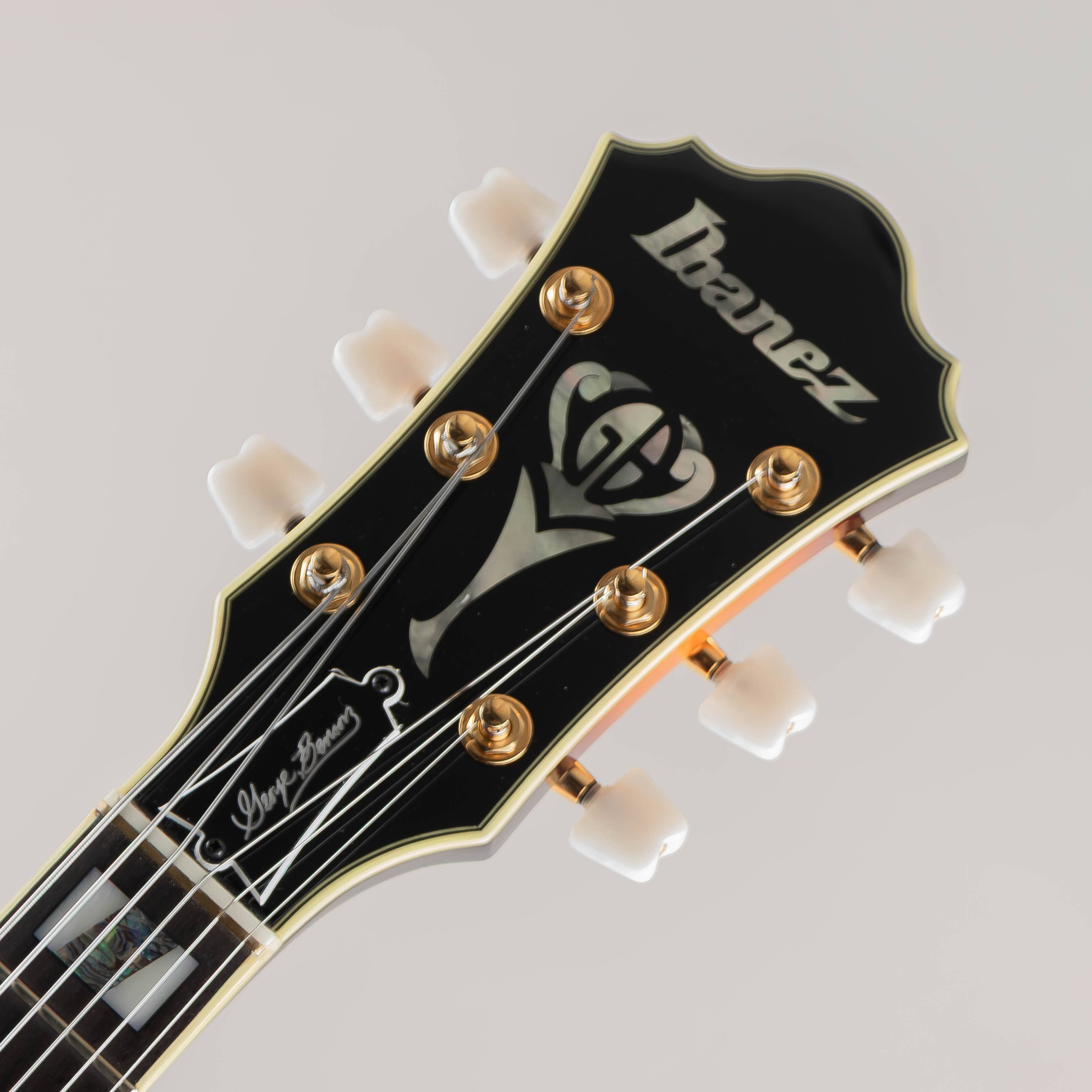 GB10 / Brown Sunburst