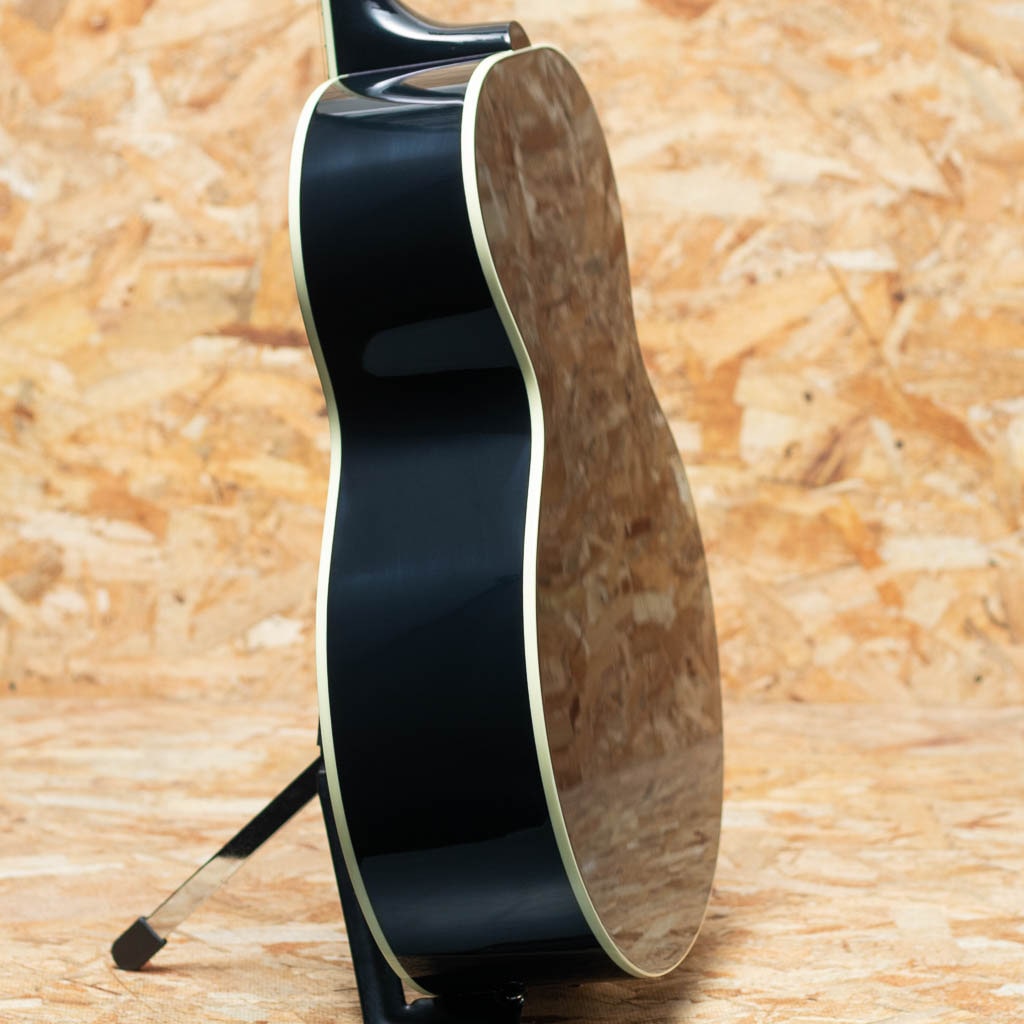 Everly Brothers J-180