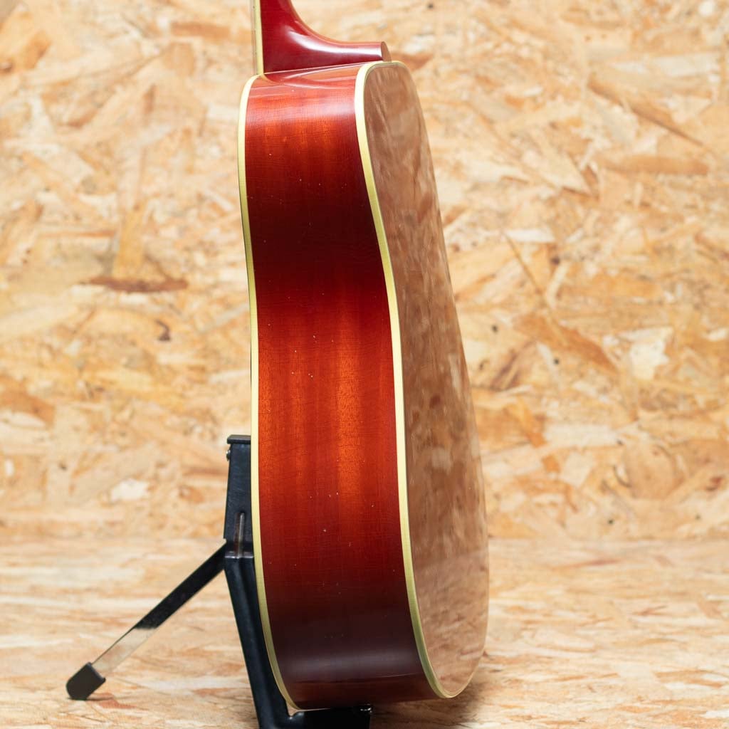 1960 Hummingbird Light Aged