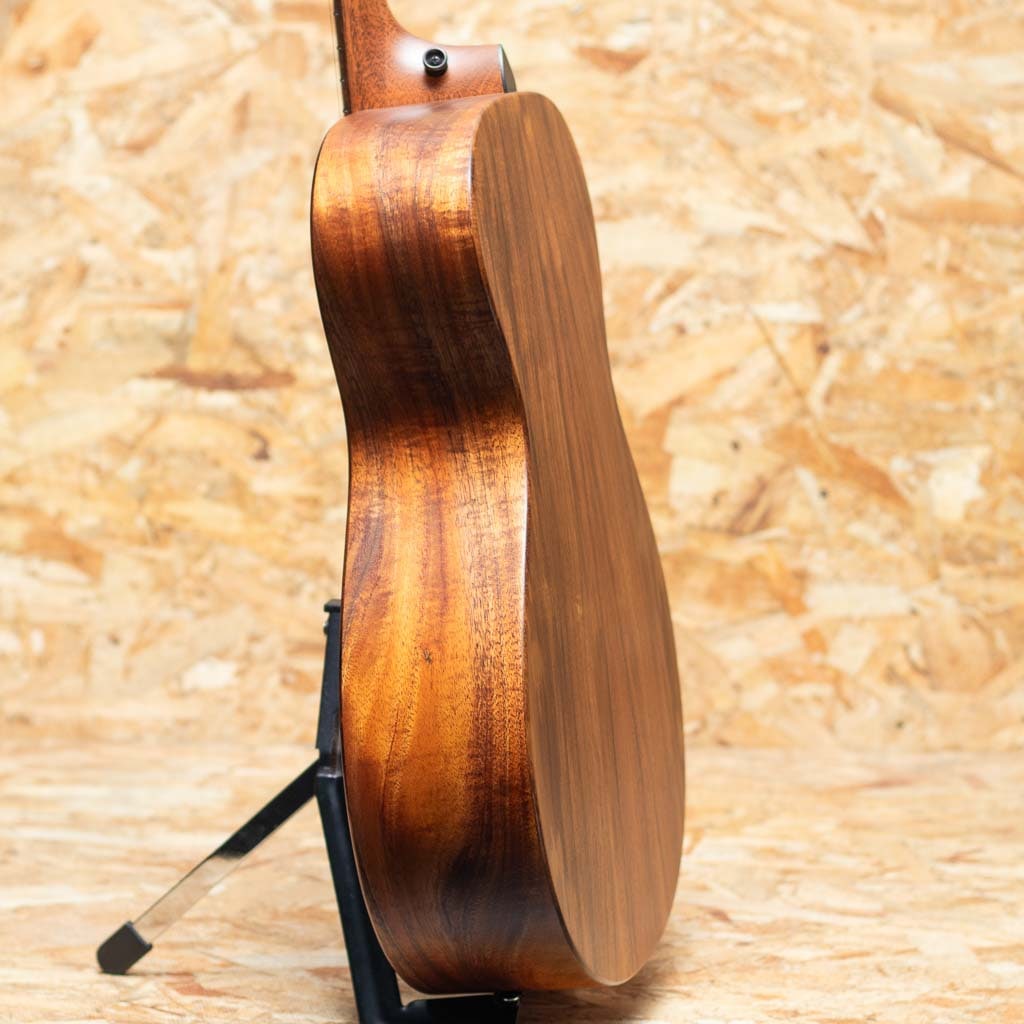 Jacob Collier Signature Model JCSM-6