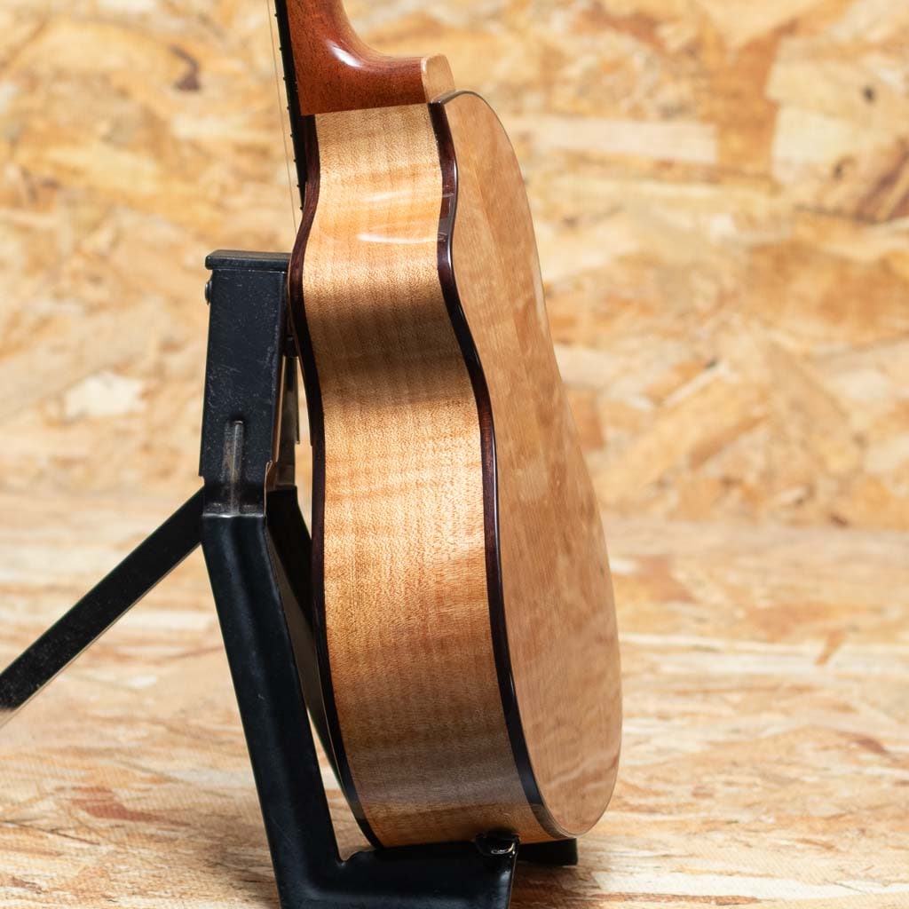 CEDMP-LN Concert Semi Long Neck