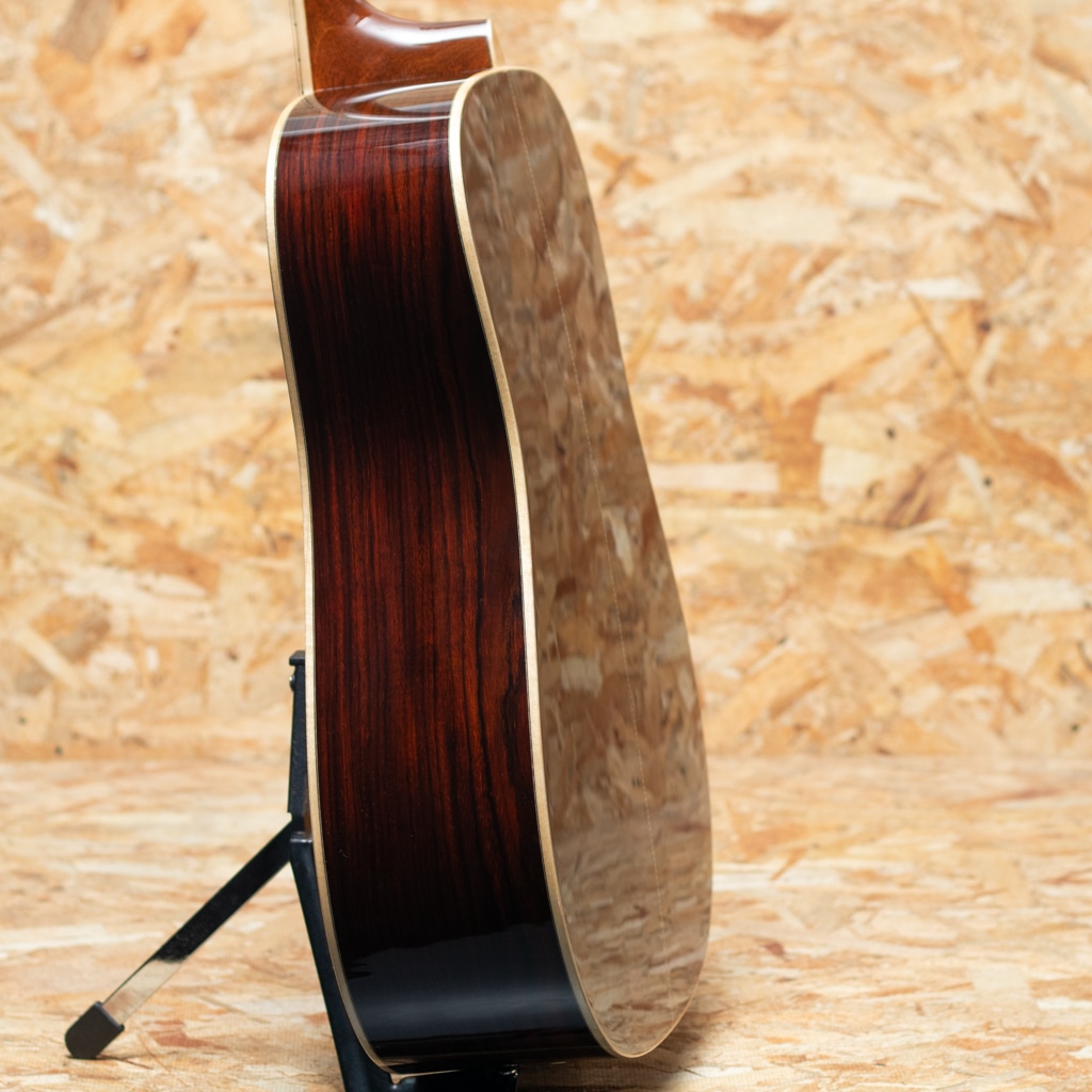 CTM D Adirondack Spruce×Cocobolo 2020