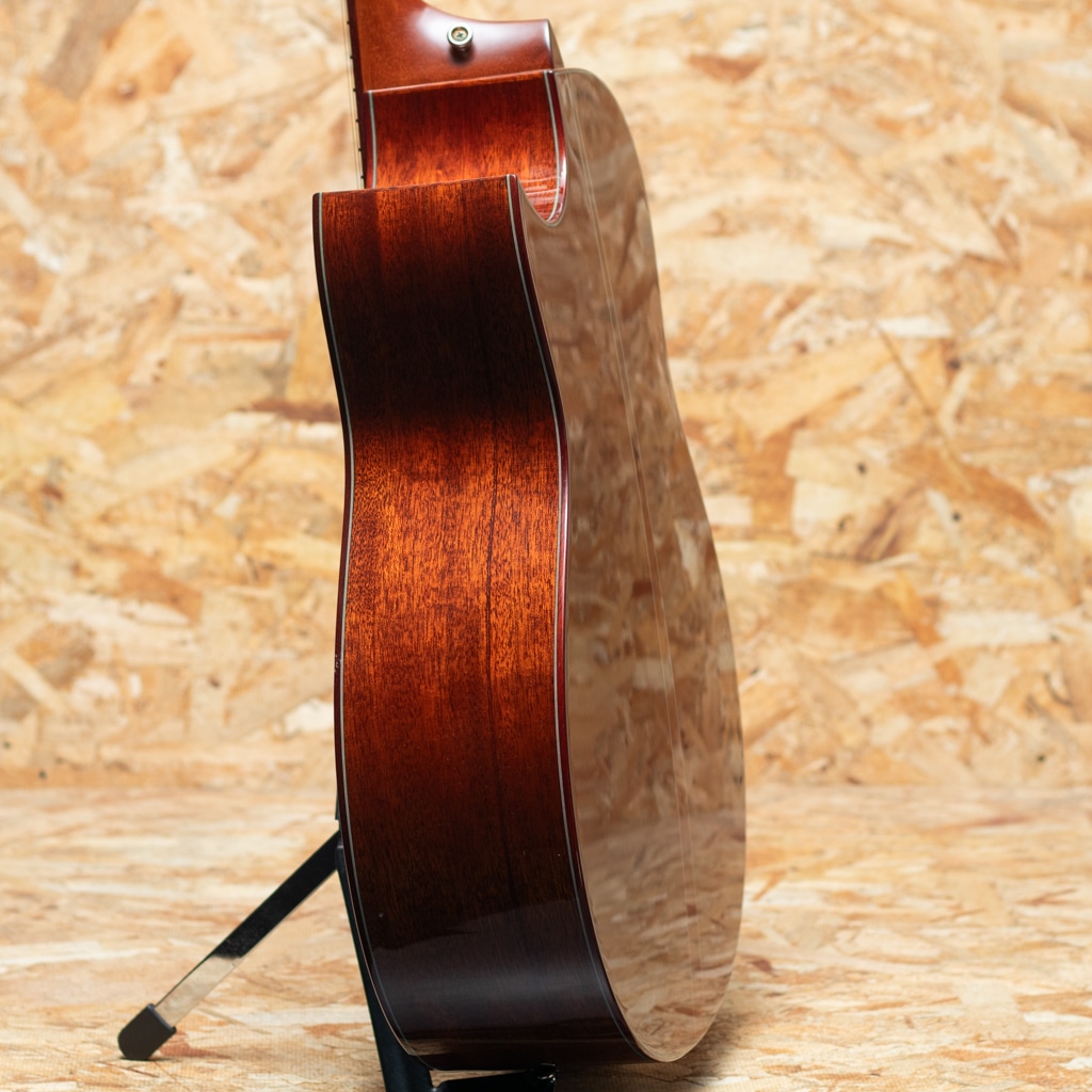 Custom GO-Ce 2013