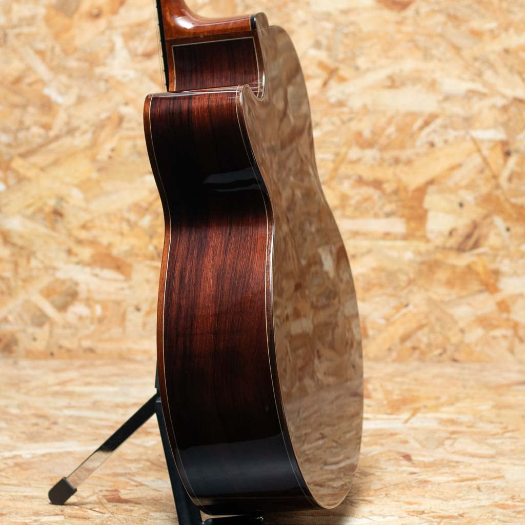 Deep Arte Cutaway Kishibe Masaaki Model