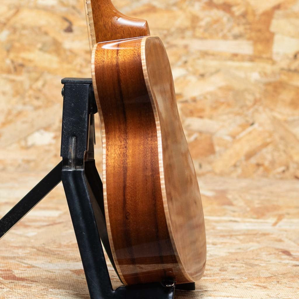 THC-2233 CST Concert